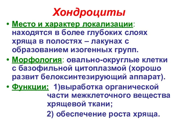 Хондроциты Место и характер локализации: находятся в более глубоких слоях