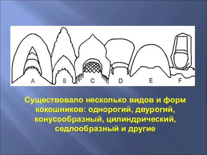 Существовало несколько видов и форм кокошников: однорогий, двурогий, конусообразный, цилиндрический, седлообразный и другие