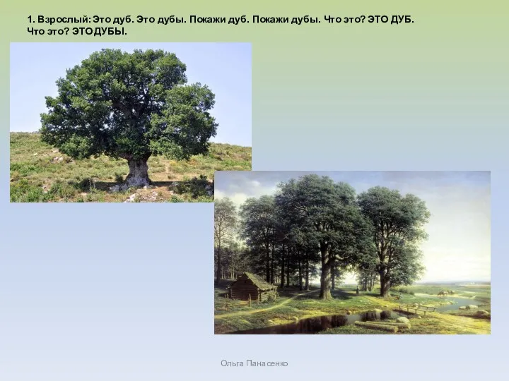 Ольга Панасенко 1. Взрослый: Это дуб. Это дубы. Покажи дуб. Покажи дубы. Что