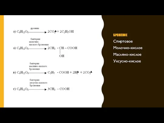 БРОЖЕНИЕ Спиртовое Молочно-кислое Масляно-кислое Уксусно-кислое