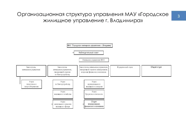 Организационная структура управления МАУ «Городское жилищное управление г. Владимира» 3