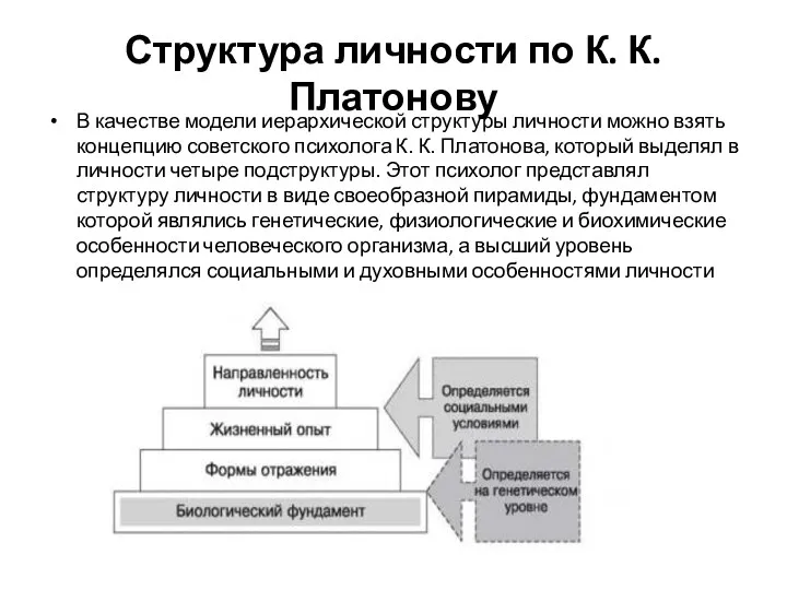 Структура личности по К. К. Платонову В качестве модели иерархической структуры личности можно