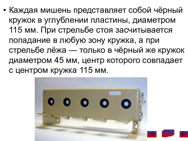 Каждая мишень представляет собой чёрный кружок в углублении пластины, диаметром