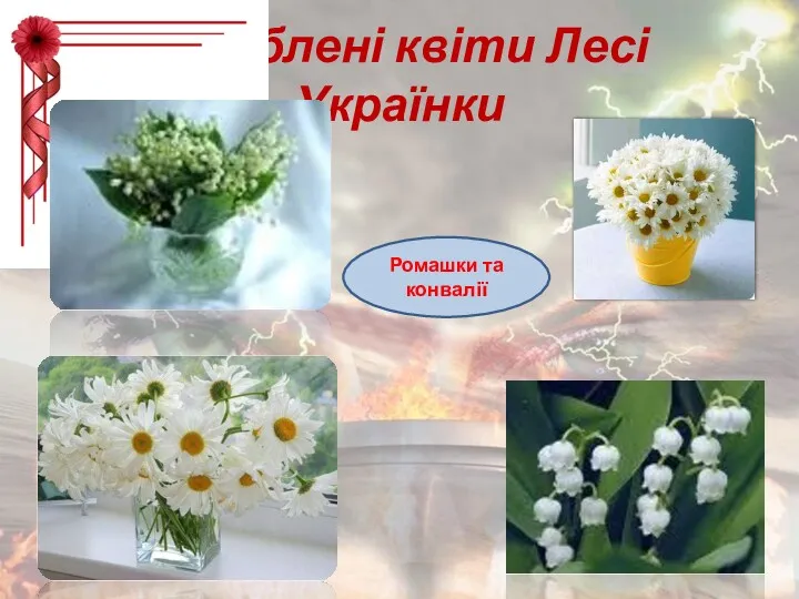 Улюблені квіти Лесі Українки Ромашки та конвалії