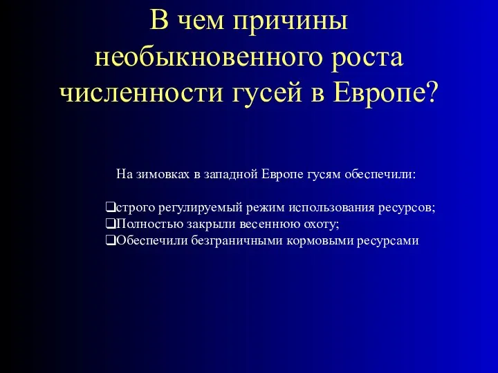 В чем причины необыкновенного роста численности гусей в Европе? На