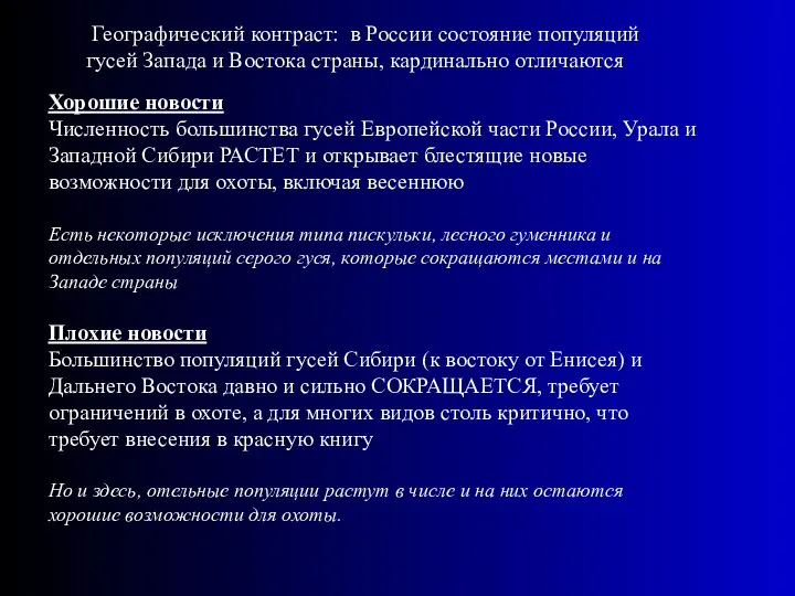 Географический контраст: в России состояние популяций гусей Запада и Востока