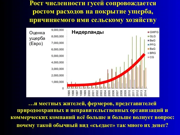 Рост численности гусей сопровождается ростом расходов на покрытие ущерба, причиняемого