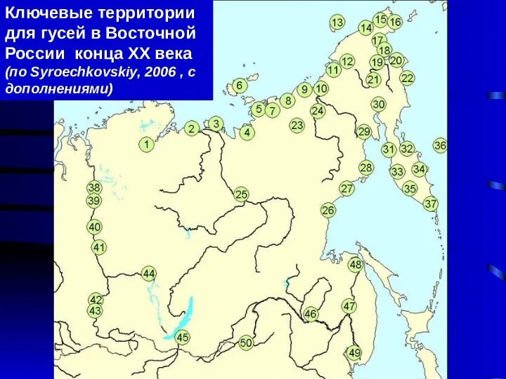 Ключевые территории для гусей в Восточной России конца ХХ века (по Syroechkovskiy, 2006 , с дополнениями)