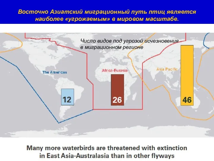 Each flyway region have different priorities in Arctic bird conservation: