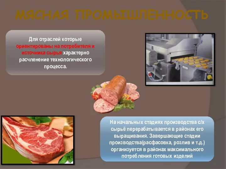 МЯСНАЯ ПРОМЫШЛЕННОСТЬ Для отраслей которые ориентированы на потребителя и источника