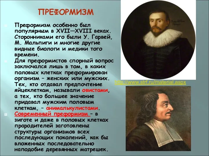 ПРЕФОРМИЗМ Преформизм особенно был популярным в XVII—XVIII веках. Сторонниками его