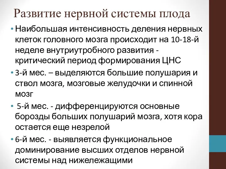 Развитие нервной системы плода Наибольшая интенсивность деления нервных клеток головного