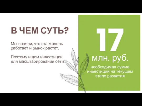 В ЧЕМ СУТЬ? 17 млн. руб. необходимая сумма инвестиций на текущем этапе развития