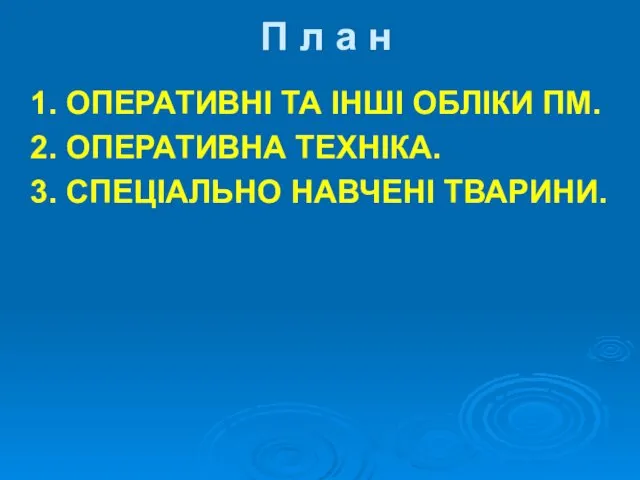 П л а н 1. ОПЕРАТИВНІ ТА ІНШІ ОБЛІКИ ПМ.