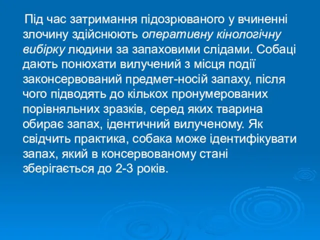 Під час затримання підозрюваного у вчиненні злочину здійснюють оперативну кінологічну вибірку людини за