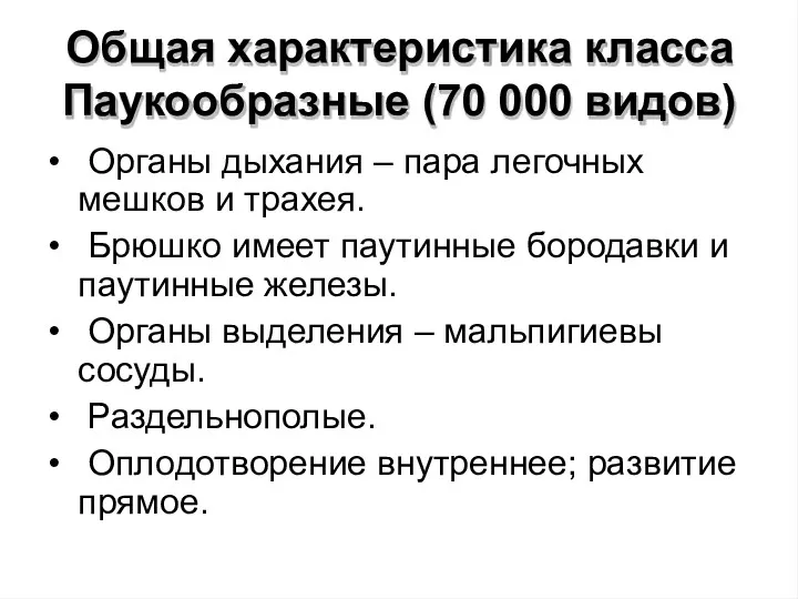 Общая характеристика класса Паукообразные (70 000 видов) • Органы дыхания