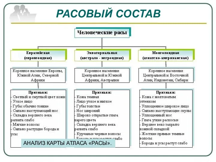 РАСОВЫЙ СОСТАВ АНАЛИЗ КАРТЫ АТЛАСА «РАСЫ».