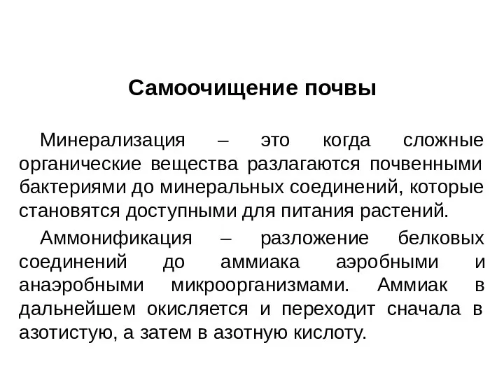 Самоочищение почвы Минерализация – это когда сложные органические вещества разлагаются почвенными бактериями до