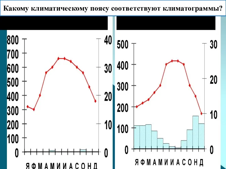 Какому климатическому поясу соответствуют климатограммы?