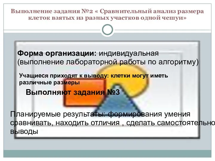 Выполнение задания №2 « Сравнительный анализ размера клеток взятых из