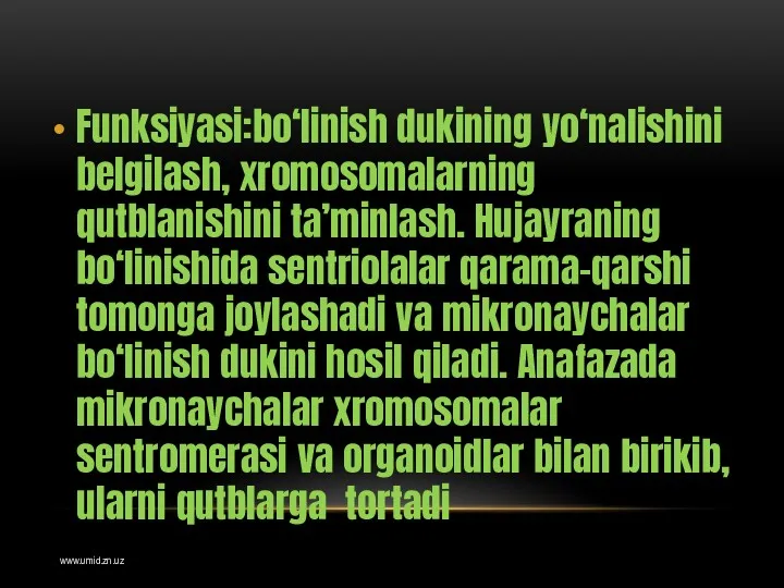 Funksiyasi:bo‘linish dukining yo‘nalishini belgilash, xromosomalarning qutblanishini ta’minlash. Hujayraning bo‘linishida sentriolalar