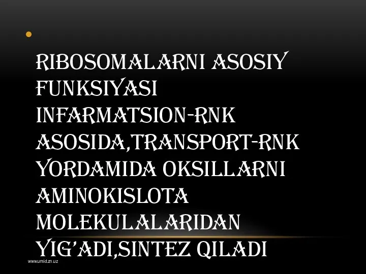 Ribosomalarni asosiy funksiyasi infarmatsion-RNK asosida,transport-RNK yordamida oksillarni aminokislota molekulalaridan yig’adi,sintez qiladi www.umid.zn.uz