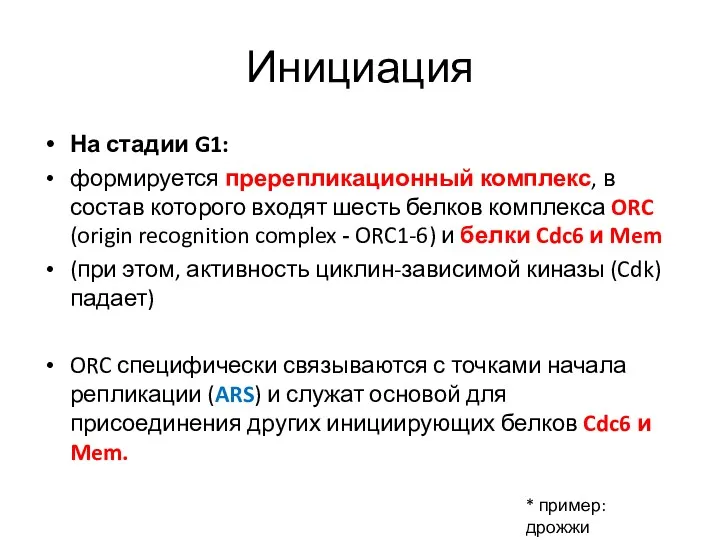 Инициация На стадии G1: формируется пререпликационный комплекс, в состав которого