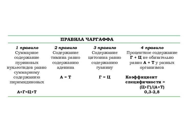 ПРАВИЛА ЧАРГАФФА 1 правило Суммарное содержание пуриновых нуклеотидов равно суммарному