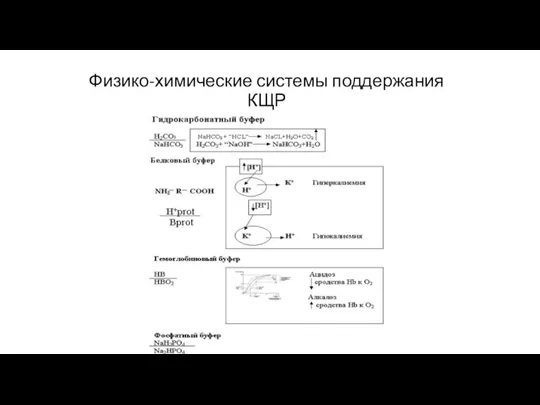 Физико-химические системы поддержания КЩР