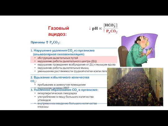 Газовый ацидоз: 1. Нарушение удаления СО2 из организма (альвеолярная гиповентиляция):