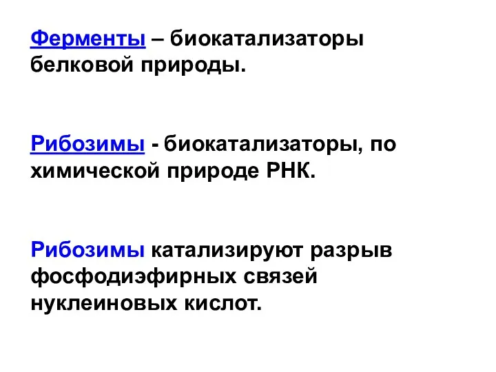 Ферменты – биокатализаторы белковой природы. Рибозимы - биокатализаторы, по химической