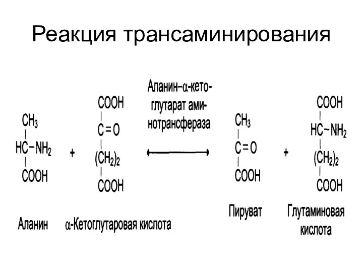 Реакция трансаминирования