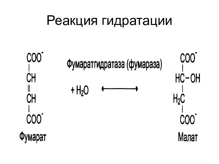 Реакция гидратации