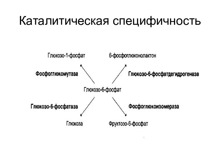 Каталитическая специфичность