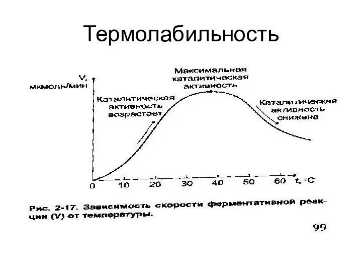 Термолабильность