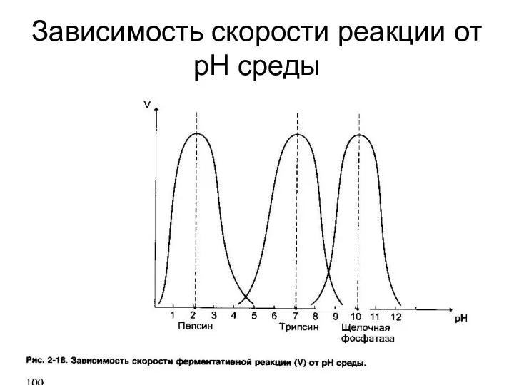 Зависимость скорости реакции от рН среды