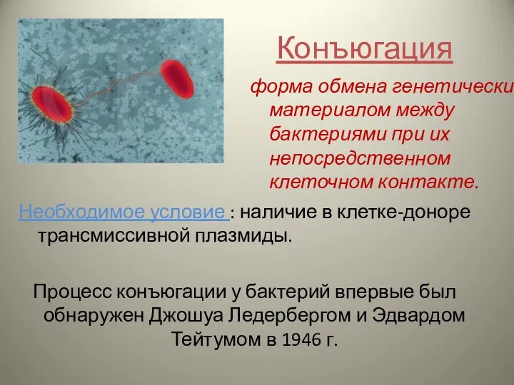 Конъюгация Необходимое условие : наличие в клетке-доноре трансмиссивной плазмиды. Процесс