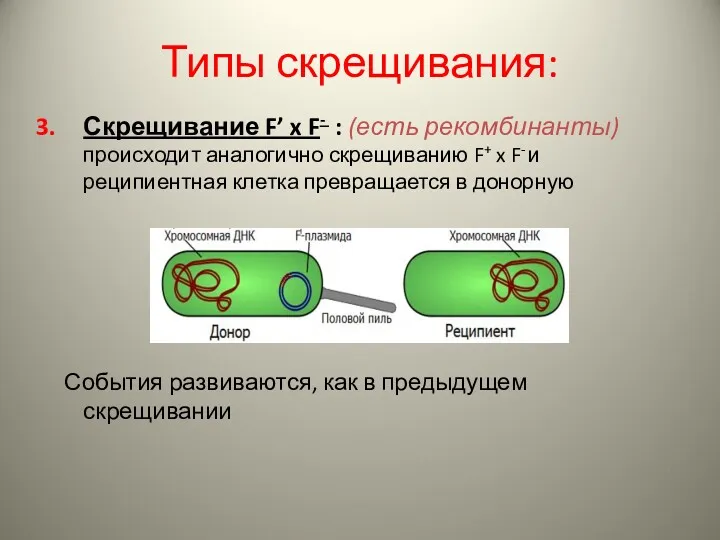 Типы скрещивания: Скрещивание F’ x F- : (есть рекомбинанты) происходит