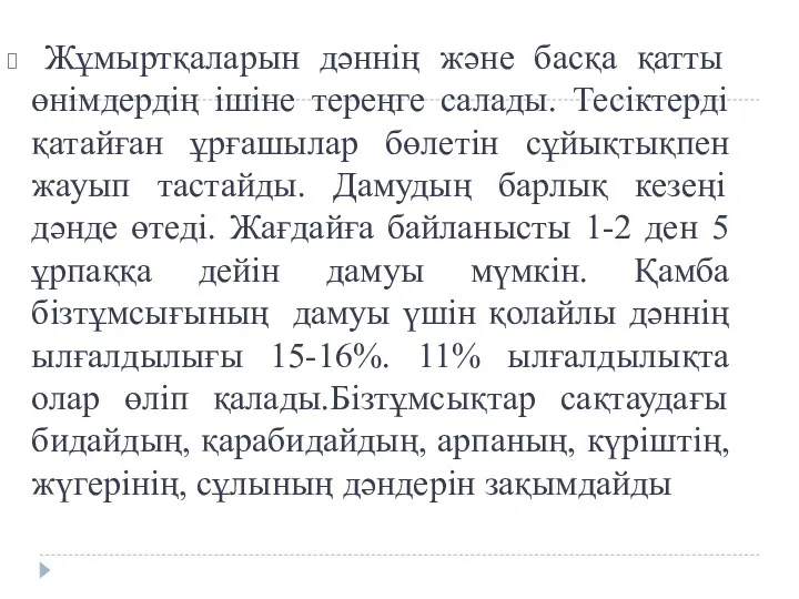 Жұмыртқаларын дәннің және басқа қатты өнімдердің ішіне тереңге салады. Тесіктерді