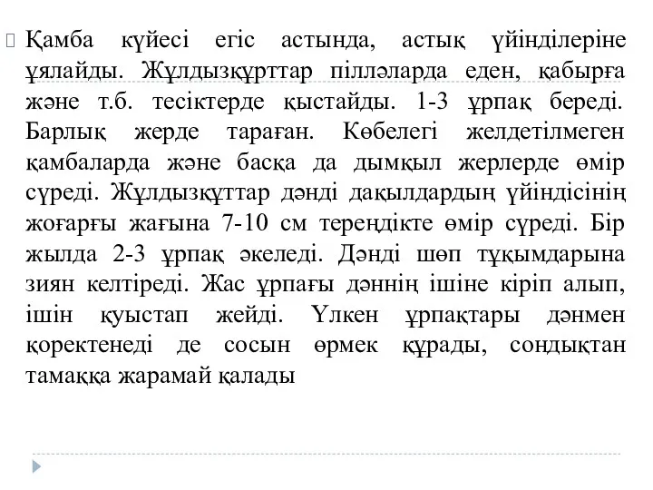 Қамба күйесі егіс астында, астық үйінділеріне ұялайды. Жұлдызқұрттар пілләларда еден,