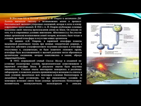 В 20-е годы XX в. Русский ученый А. И. Опарин и англичанин ДЖ.