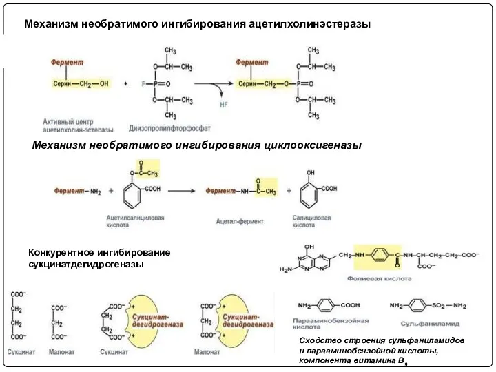 Механизм необратимого ингибирования ацетилхолинэстеразы Механизм необратимого ингибирования циклооксигеназы Сходство строения