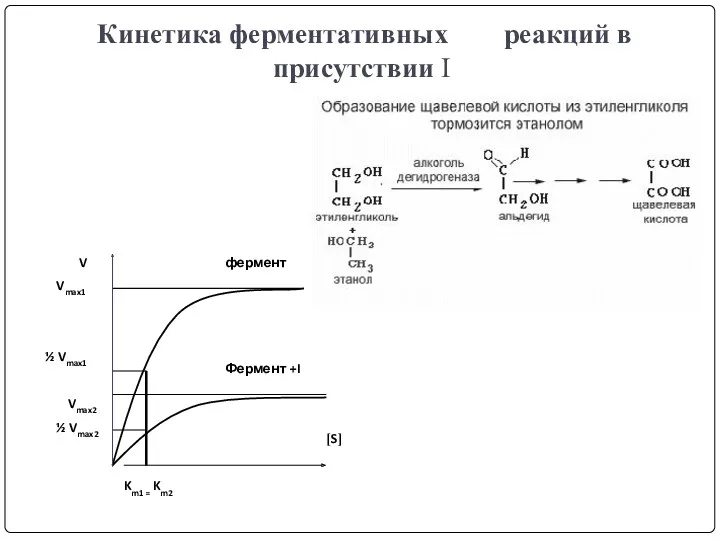 Кинетика ферментативных реакций в присутствии I