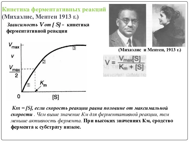 Кинетика ферментативных реакций (Михаэлис, Ментен 1913 г.) Зависимость V от