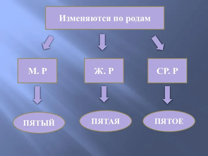 Изменяются по родам М. Р Ж. Р СР. Р ПЯТЫЙ ПЯТАЯ ПЯТОЕ