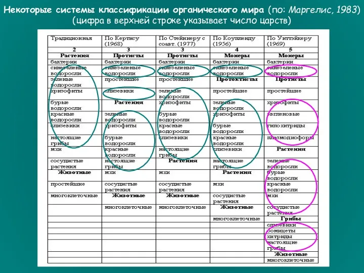 Некоторые системы классификации органического мира (по: Маргелис, 1983) (цифра в верхней строке указывает число царств)