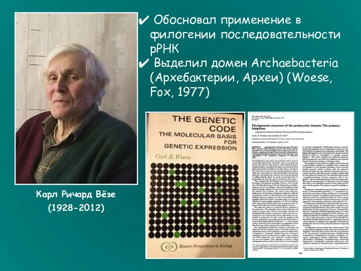 Карл Ричард Вёзе (1928-2012) Обосновал применение в филогении последовательности рРНК