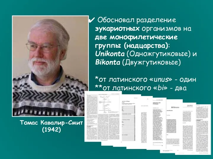 Томас Кавалир-Смит (1942) Обосновал разделение эукариотных организмов на две монофилетические