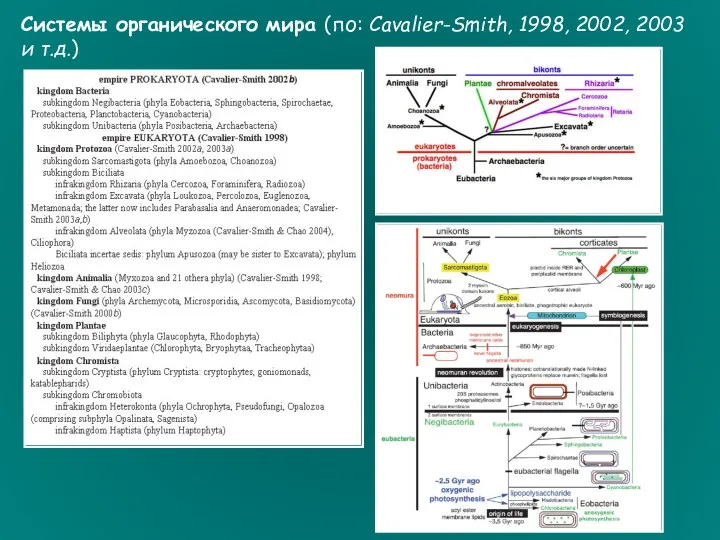 Системы органического мира (по: Cavalier-Smith, 1998, 2002, 2003 и т.д.)
