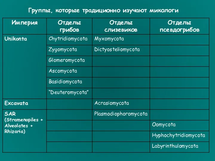 Группы, которые традиционно изучают микологи